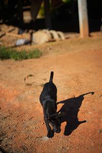 BIB: 
                            <button type="button" onclick="openModal(19338534)" class="btn btn-primary btn-sm float-right btn-popup" data-toggle="modal" data-target=".modal-high-quality">
                        <i class="fas fa-shopping-cart"></i> Add to Cart
                    </button>
                                            <button type="button" onclick="isThisMe(19338534, true)" class="btn btn-success btn-sm float-right btn-popup btn-isme hidden" data-toggle="tooltip" data-placement="bottom" title="นี่คือรูปของคุณใช่ไหม คลิกที่นี่เพื่อเอาเข้าอัลบั้ม">
                        <i class="fas fa-plus"></i> Add to album
                    </button>
                    <button type="button" onclick="isThisMe(19338534, false)" class="btn btn-warning btn-sm float-right btn-popup btn-isnotme hidden">
                        <i class="fas fa-ban"></i> Remove from album
                    </button>